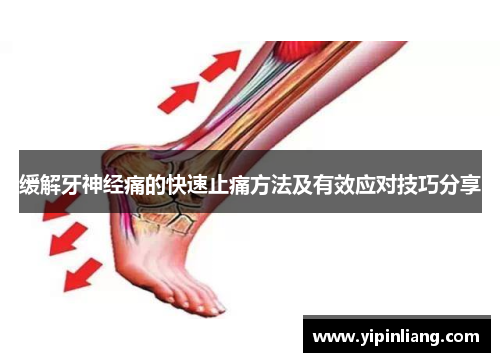 缓解牙神经痛的快速止痛方法及有效应对技巧分享