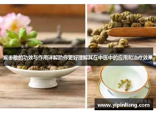 猴枣散的功效与作用详解助你更好理解其在中医中的应用和治疗效果